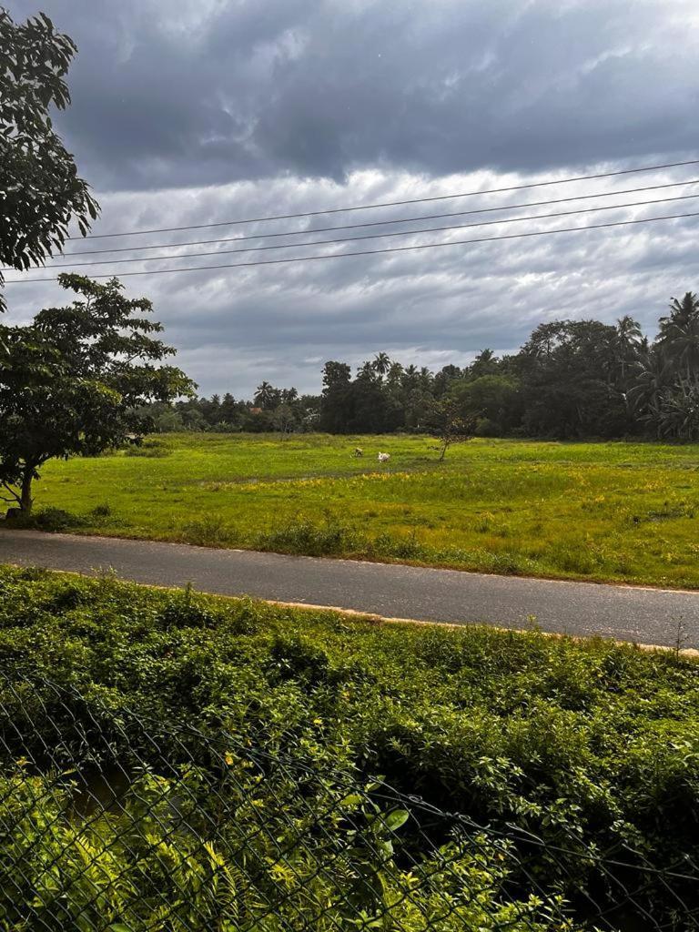 Sri Lanka Villa Dsr , Wennappuwa 외부 사진